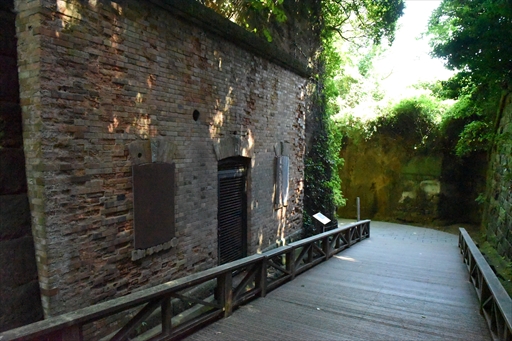 ���������꡼ No.022�Υ���ͥ������ / �֥�󥹥����ϥ󥿡��饤��������֥쥤���ס߲��ܲ�ԥ���ܤ������������ȡ������ץ˥󥰥����ˡ����θ�������ͤ��Ϥ�