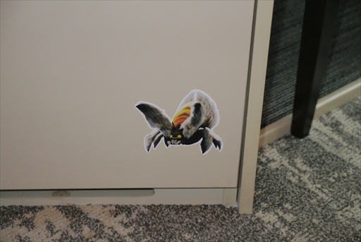 ���������꡼ No.026�Υ���ͥ������ / ���ϥ�ȤΥ���ܥ롼��ǡ������Ѥ˿��������θ��򡣡֥�󥹥����ϥ󥿡��饤���סߡ֥� �������ѡ����ۥƥ�ץץ쥹ȯɽ���ݡ���