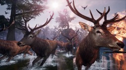 ꡼ No.004 | ե󥬤Ȥʤ缫ι륢ADVAWAYʥˡס525˥꡼ꡣϥԥͥåȥե˽Ÿ