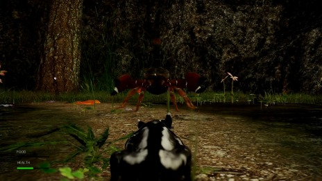 ꡼ No.010 | ե󥬤Ȥʤ缫ι륢ADVAWAYʥˡס525˥꡼ꡣϥԥͥåȥե˽Ÿ