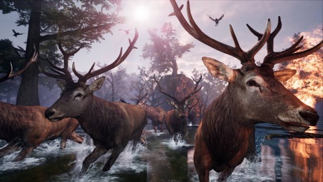 ꡼ No.023 | ե󥬤Ȥʤ缫ι륢ADVAWAYʥˡס525˥꡼ꡣϥԥͥåȥե˽Ÿ