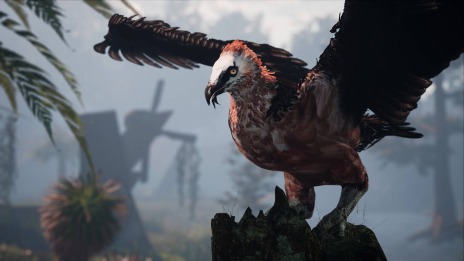 ꡼ No.025 | ե󥬤Ȥʤ缫ι륢ADVAWAYʥˡס525˥꡼ꡣϥԥͥåȥե˽Ÿ