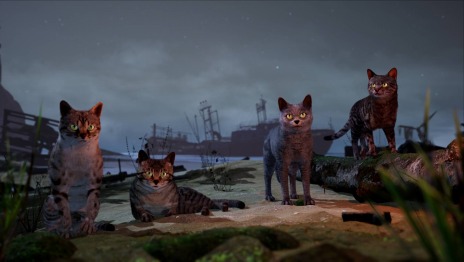 ꡼ No.029 | ե󥬤Ȥʤ缫ι륢ADVAWAYʥˡס525˥꡼ꡣϥԥͥåȥե˽Ÿ