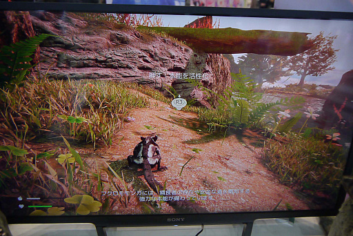 ���������꡼ No.005�Υ���ͥ������ / �֥ϥԥͥå� ������ե�������2023�դοء��ס��ե������󥬤Ȥ��Ƽ����������ݤ��δ������AWAY�ʥ��������ˡפΥ���ץ�å������Ϥ�