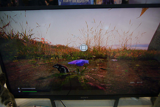 ���������꡼ No.008�Υ���ͥ������ / �֥ϥԥͥå� ������ե�������2023�դοء��ס��ե������󥬤Ȥ��Ƽ����������ݤ��δ������AWAY�ʥ��������ˡפΥ���ץ�å������Ϥ�