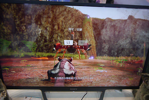 ���������꡼ No.009�Υ���ͥ������ / �֥ϥԥͥå� ������ե�������2023�դοء��ס��ե������󥬤Ȥ��Ƽ����������ݤ��δ������AWAY�ʥ��������ˡפΥ���ץ�å������Ϥ�