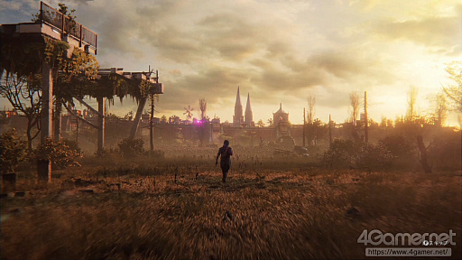 ꡼ No.008Υͥ / ޥեĤ󼡸褤574ֻӶ餤ήϲͤǥХå륢쥲ʡ桼塼֡