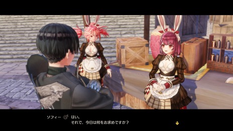 ꡼ No.004 | ֥եΥȥꥨ2פͭDLC2Ƥ̵ɲåƥ4Ƥۿˡեζ̰Ȥδ̼о