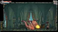 ꡼ No.007Υͥ / ȥ˥ȯΥȥɥ˥֥󥭡ҡפΥ꡼ϡ1117ޤǤ15󥪥դ