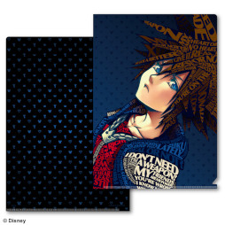 画像ギャラリー No.002のサムネイル画像 / 「キングダムハーツ」より,ソラとロクサスのメタリックファイルが登場