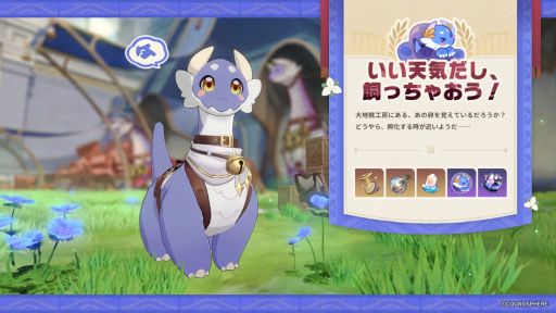 ꡼ No.005Υͥ / 쥤סåץǡVer.3.6Ĺ˺ƤϤءפ»ܡ5饯ĹסCV ͣˤо