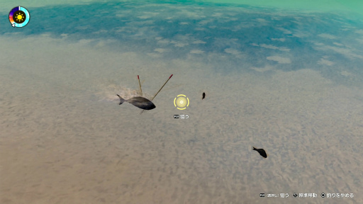 ꡼ No.033 | Υץ쥤ݡϡζǡ8׶ϤȤο򿶤֤ȥǥ󥰥Ρȡɡ֤Υץ쥤ݥåȡȥɥɥɤθ