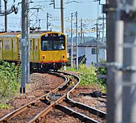 ꡼ No.004 | ꡼ǿŴƻˤäݤϩ Ŵƻԡפ2021ǯߤ˥꡼