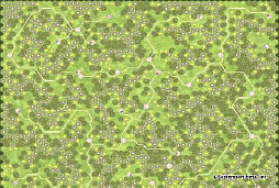 ���������꡼ No.005�Υ���ͥ������ / ������άSSB�ס�̵���ɲåޥå�����Ƥξ��󤬸�����