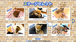 �ĥ����륷�꡼�� �Ƥ᤯��