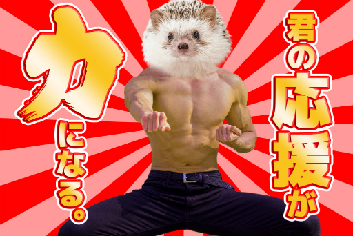 画像ギャラリー No.002のサムネイル画像 / 「コロコロハーリィ」のクラウドファンディングが開催中。自分で考えたステージが採用されるリターンも