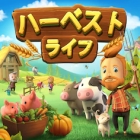 �ѥå�����