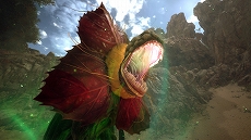 ꡼ No.032 | ֥ 6 THE DIVINE FORCEReportingȥ쥤顼5Ƥˡ饯6̾ƮΩĥƥҲ