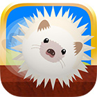 �ѥå�����