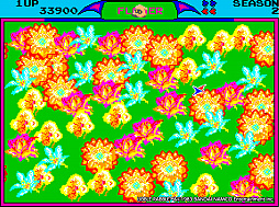 ���������ɥ��������֥� ��֥��֥�