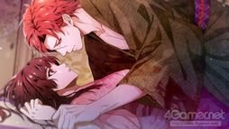 ꡼ No.008 | ֲå4Gamer332󡧡֥ӥ륷ɱ פýΤθեǥ