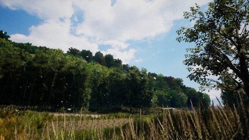 ꡼ No.008 | NOSTALGIC TRAINץ꡼󥷥åȥƥȤŷꡣդ򳫻