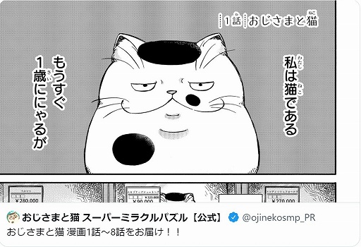 ���������꡼ No.005�Υ���ͥ������ / �֤������ޤ�ǭ �����ѡ��ߥ饯��ѥ���׻�����Ͽ10����ã��