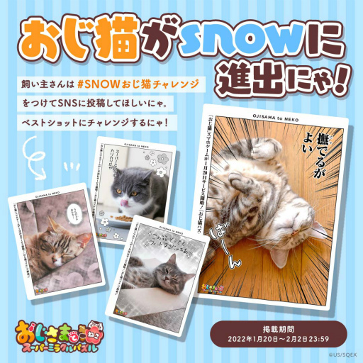 ���������꡼ No.007�Υ���ͥ������ / �֤������ޤ�ǭ �����ѡ��ߥ饯��ѥ���פ����������ӥ������Ϥˡ��ȤȤ�ͤ��夰��ߡɤ�����Ǥ�����ָ��ꥤ�٥�ȤⳫ��