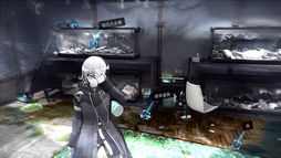 ꡼ No.004 | Ķõ 쥤󥳡ɡסɲåƥ3ơ֥ϥԡRaining Cats  Dog١פȯ䡣4Ƥξ