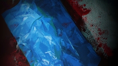 ꡼ No.007 | ֥ѥ Ŀر༷Ի׵ġ15ʾηϿθǤ721ۿ