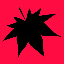 ���������꡼ No.005�Υ���ͥ������ / �֥����������� BGM���쥯�����ס�Apple Music��Spotify�ʤɤβ����ۿ������ӥ����ۿ����ϡ��ᥤ��ơ��ޤ�ޤ���6�ʤ��Ͽ