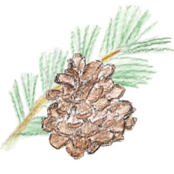 ���������꡼ No.007�Υ���ͥ������ / �֥����������� BGM���쥯�����ס�Apple Music��Spotify�ʤɤβ����ۿ������ӥ����ۿ����ϡ��ᥤ��ơ��ޤ�ޤ���6�ʤ��Ͽ