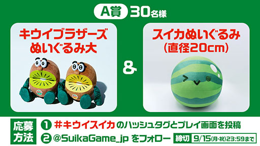 ꡼ No.005 | ֥פȥץΡ֥֥饶פܡ2025ǯΥץաƤ򤭤ä˴褬ư