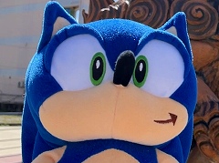 �֥��˥å��������إå��ۥå��׸���SNSư����ȥ��ˤ���ݡɡ�2022ǯ10��Τ����ư������