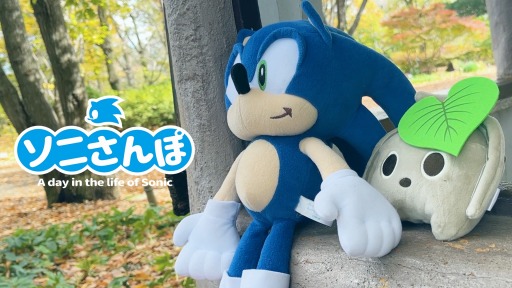 ꡼ No.002 | ֥˥å׸SNSư ȥˤݡ11Τư褬