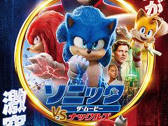 ǲ֥˥åࡼӡ˥å VS ʥå륺סԼ33164ɥã