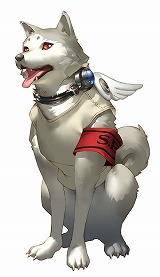 ꡼ No.004 | ꥢ륤٥ȡȥڥ륽25thեɿP3ĹĿҤȥꥢҤΥܤ䡤䥰åξܺ٤餫