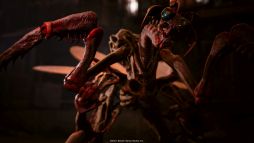 ꡼ No.010 | : Slitterheadסǿȥ쥤顼Story TrailerפᵴȤȤ臘ΤλѤΤ륢󥷡󤬳ǧǤ