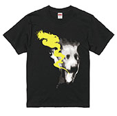 ꡼ No.006 | ५㡼Ρȿȯɤ󶡤ARCADEס1018ޥѥ륳ˤƳŷꡣϥۥ顼˥ե