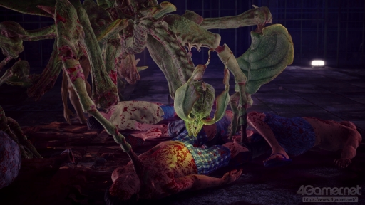 ꡼ No.006 | ʬʤ餳򤯡򤷤Ȥζä롣åƤۤ¿ۥ顼: Slitterheadפγڤߤ