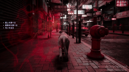 ꡼ No.010 | ʬʤ餳򤯡򤷤Ȥζä롣åƤۤ¿ۥ顼: Slitterheadפγڤߤ