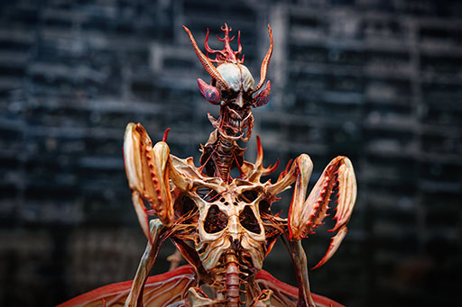 ꡼ No.002 | : SlitterheadפΥ꡼㡼˥ե󥻥ץȥŸ712Υ꡼ǳŷ