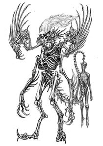 ꡼ No.003 | : SlitterheadפΥ꡼㡼˥ե󥻥ץȥŸ712Υ꡼ǳŷ