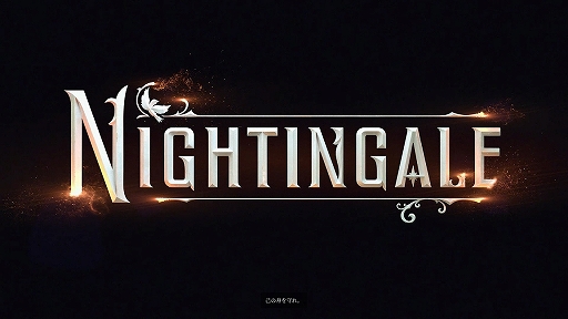 ꡼ No.002Υͥ / Υץ쥤ݡ̵¤˹ǤĶŬ褦Nightingale -ʥ󥲡-פϿ¿ιϩ̣廊륵ХХ륲