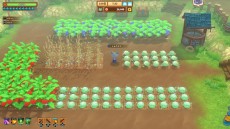 ꡼ No.007 | ƥDLǤоݤȤ̥뤬ϡоݥȥˡֶζܱ൪ס֥饭 פʤ