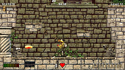 Moorhuhn �⡼���ա��� �����ץ���ɥ�� �ȥ쥸�㡼�ϥ󥿡�