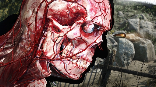 画像集#005のサムネイル/「Sniper Elite 5」PS5/PS4向け日本語パッケージ版，本日発売。ナチスの極秘プロジェクト“クラーケン作戦”に挑むシリーズ最新作