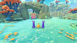 �����ԡ�����