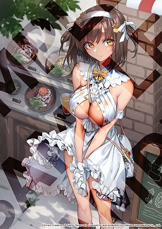 ꡼ No.019Υͥ / ѥᵼͲADVֿѷϾ 2 סSwitch428ȯءǤŹŵξ餫