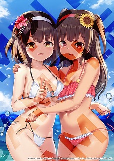 ꡼ No.021Υͥ / ѥᵼͲADVֿѷϾ 2 סSwitch428ȯءǤŹŵξ餫